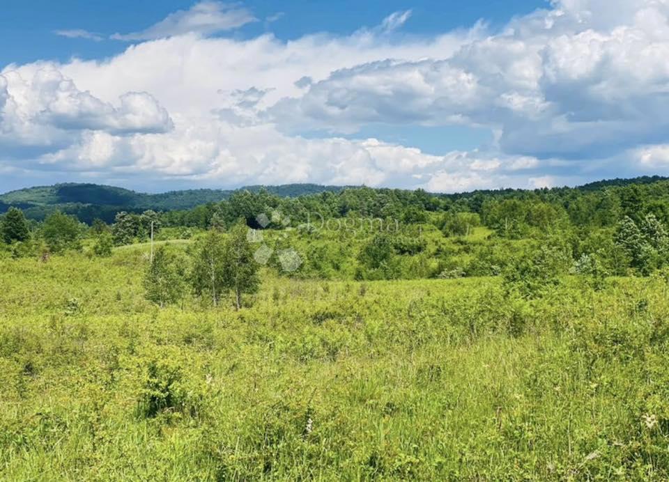 Kmetijsko zemljišče Donje Primišlje, Slunj, 262.000m2