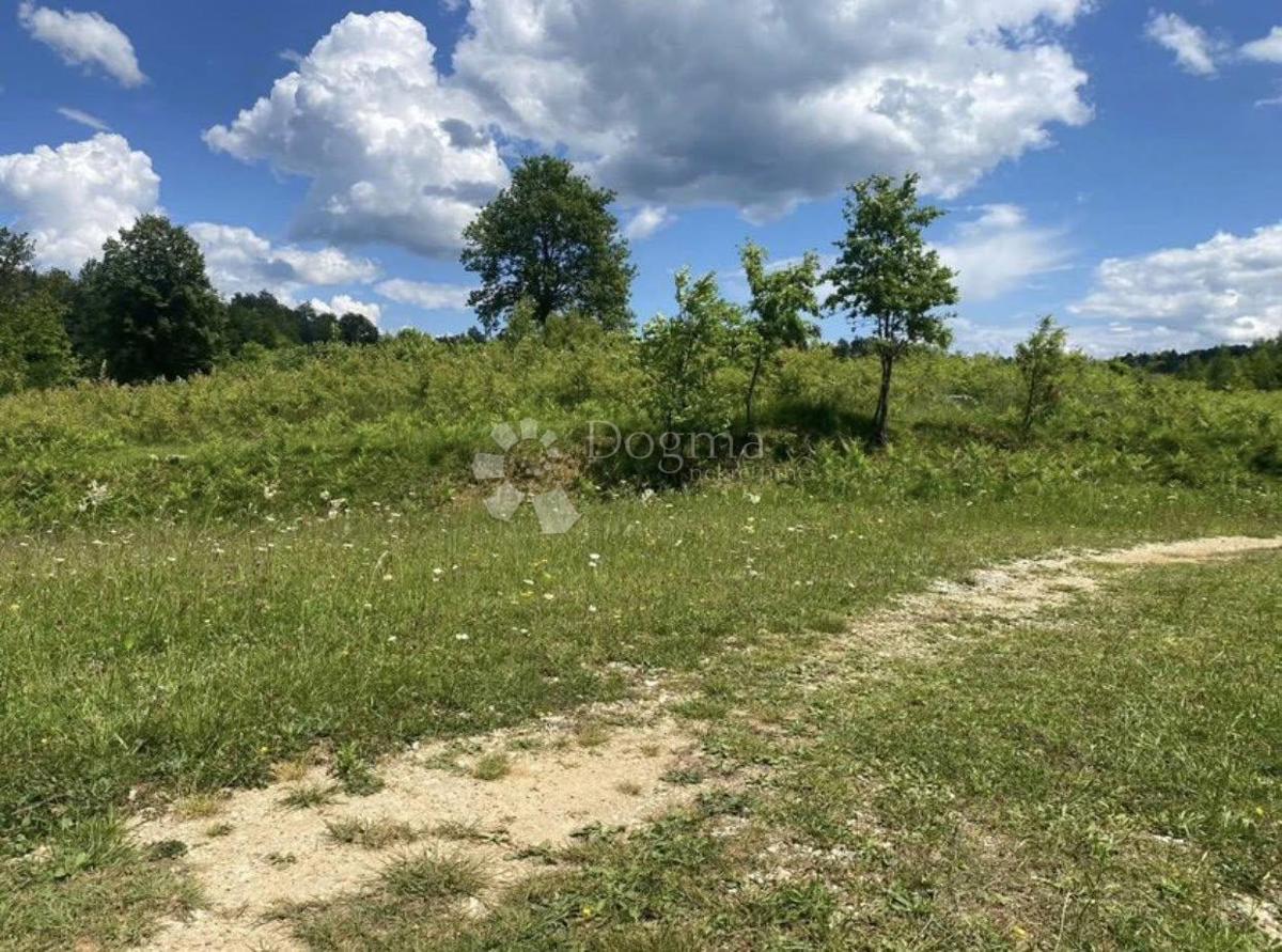Kmetijsko zemljišče Donje Primišlje, Slunj, 262.000m2