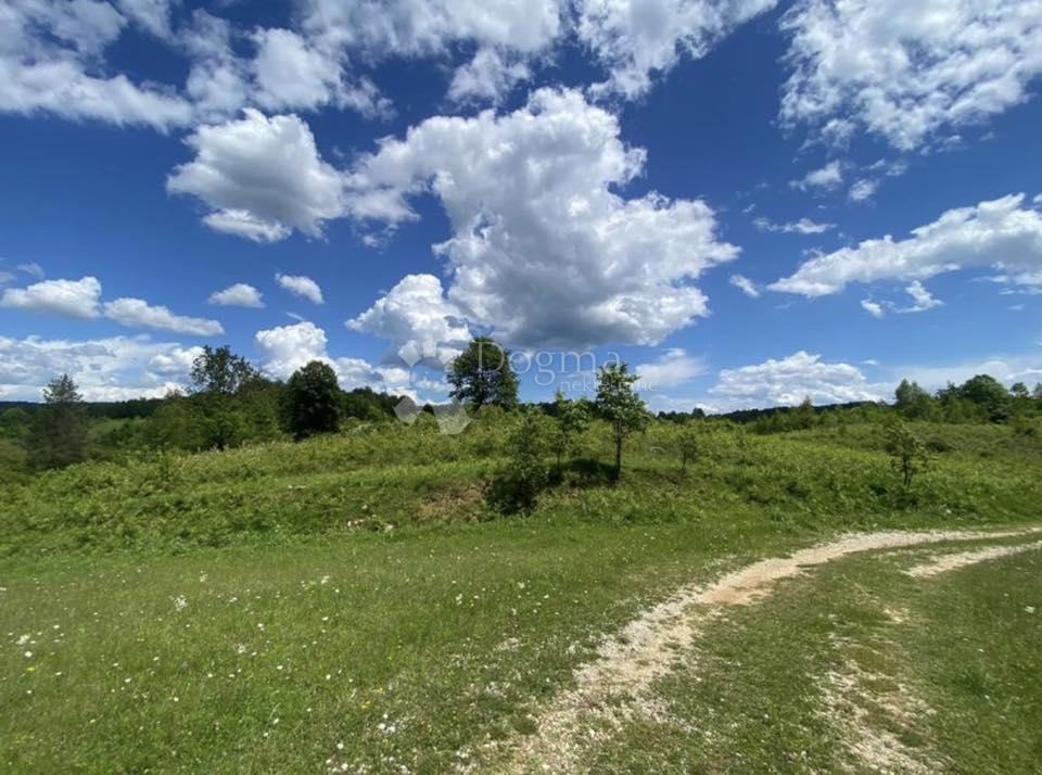 Kmetijsko zemljišče Donje Primišlje, Slunj, 262.000m2