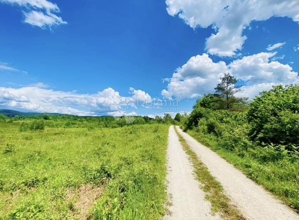Kmetijsko zemljišče Donje Primišlje, Slunj, 262.000m2