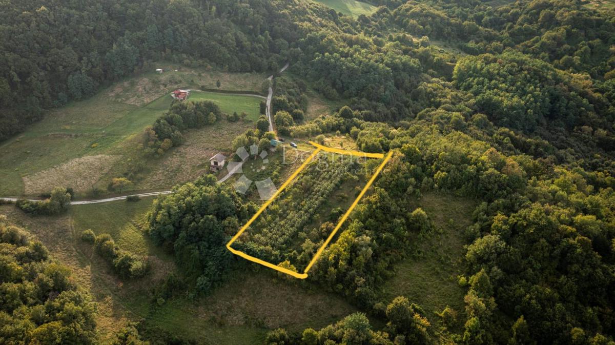 Kmetijsko zemljišče Podgrađe Podokićko, Samobor - Okolica, ZG , 3.000m2