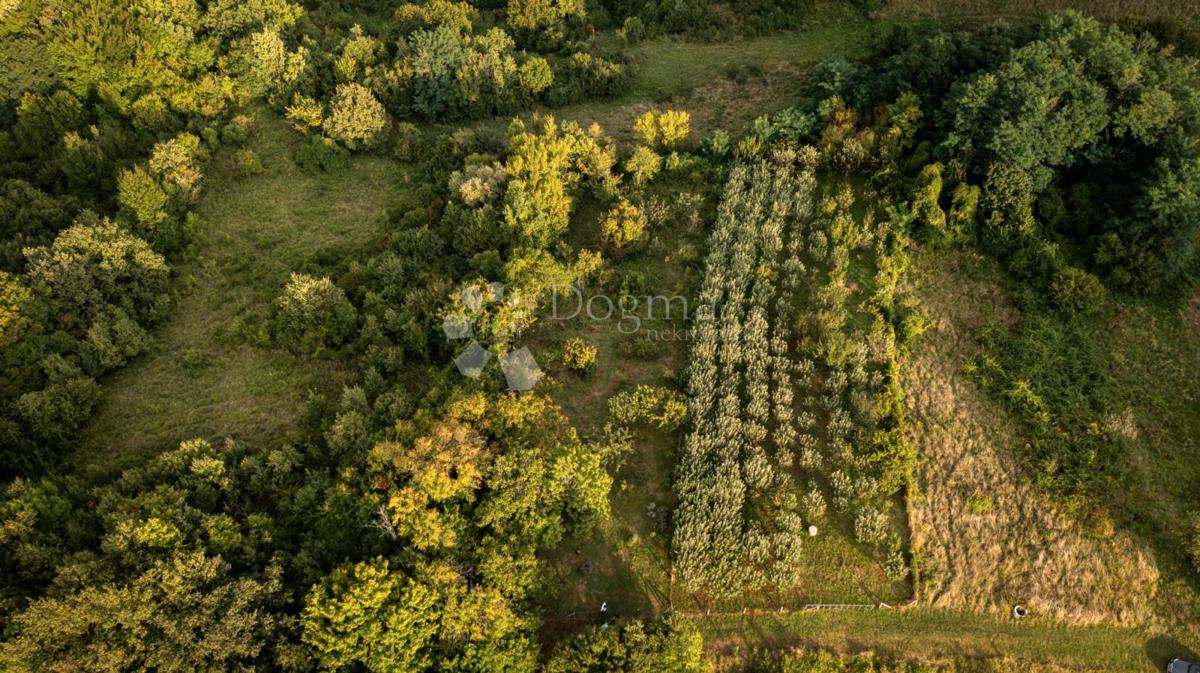 Kmetijsko zemljišče Podgrađe Podokićko, Samobor - Okolica, ZG , 3.000m2