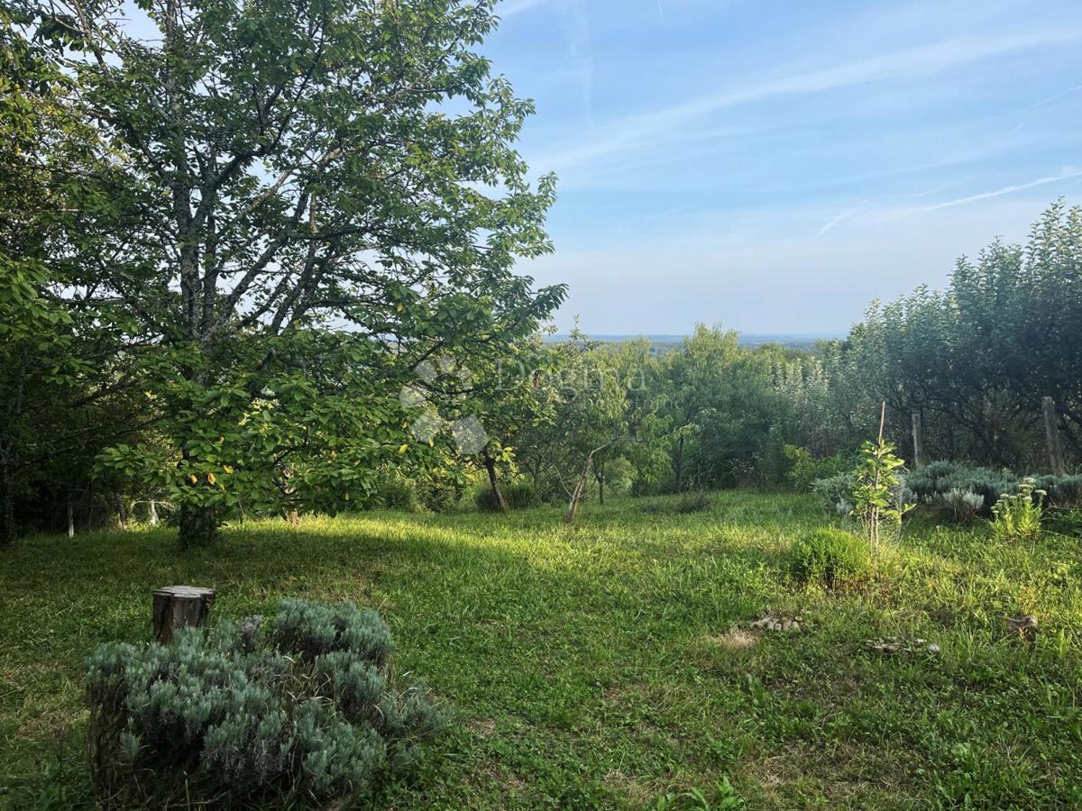 Kmetijsko zemljišče Podgrađe Podokićko, Samobor - Okolica, ZG , 3.000m2