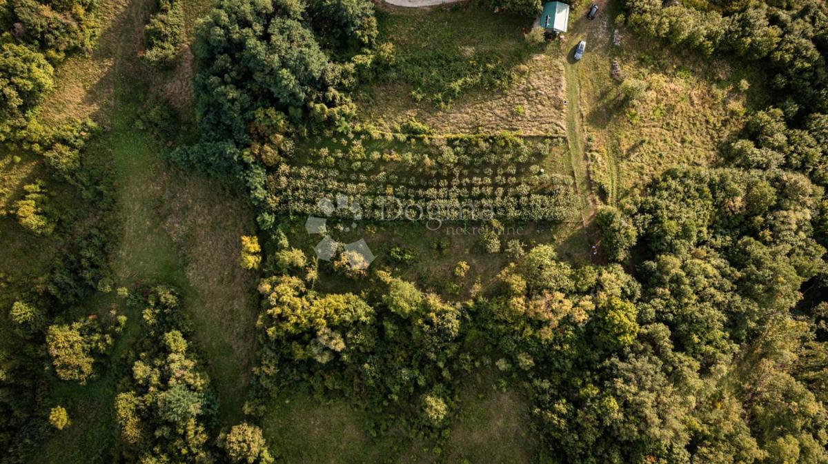 Kmetijsko zemljišče Podgrađe Podokićko, Samobor - Okolica, ZG , 3.000m2