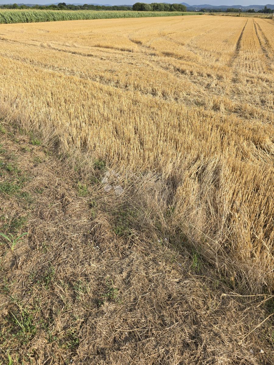 Kmetijsko zemljišče Centar, Varaždin, 4.310m2