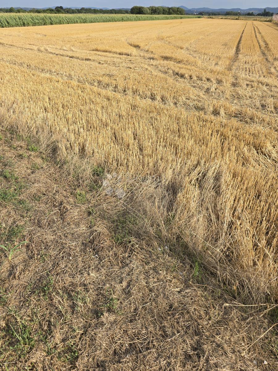 Kmetijsko zemljišče Centar, Varaždin, 4.310m2