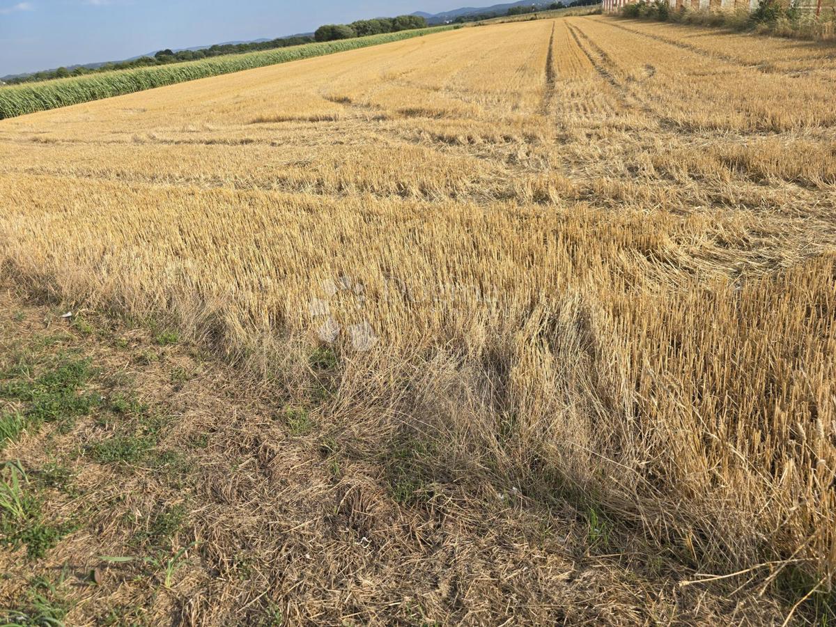 Kmetijsko zemljišče Centar, Varaždin, 4.310m2