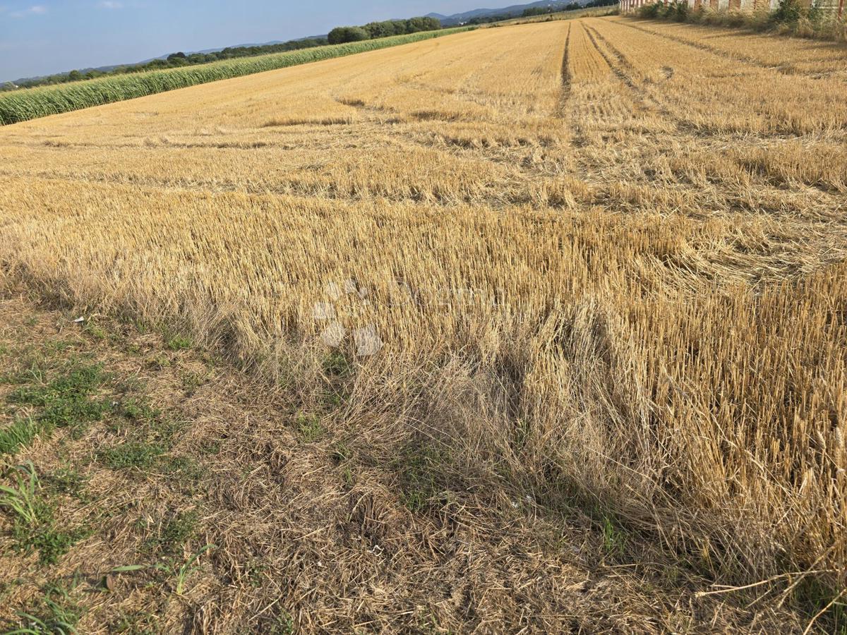 Kmetijsko zemljišče Centar, Varaždin, 4.310m2