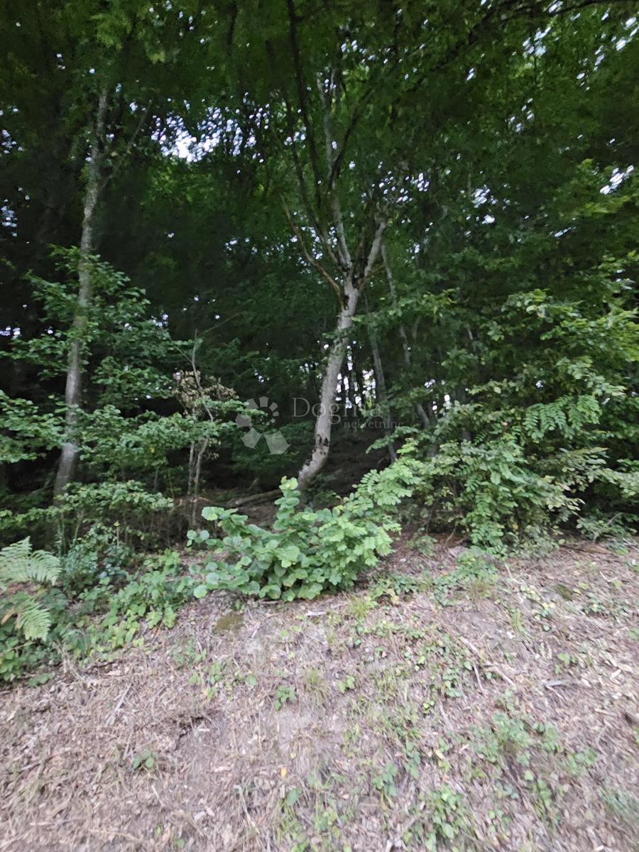 Kmetijsko zemljišče Ivanečka Željeznica, Ivanec, 3.160m2