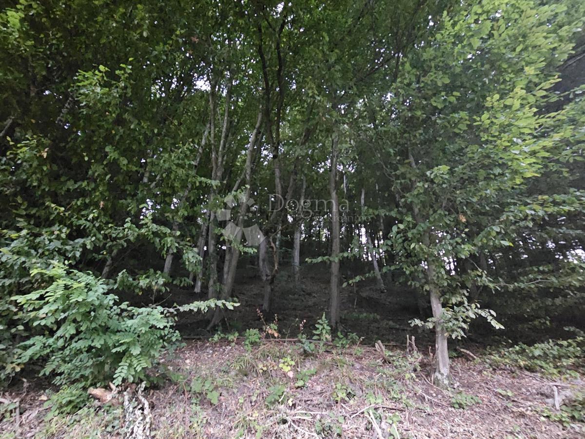 Kmetijsko zemljišče Ivanečka Željeznica, Ivanec, 3.160m2