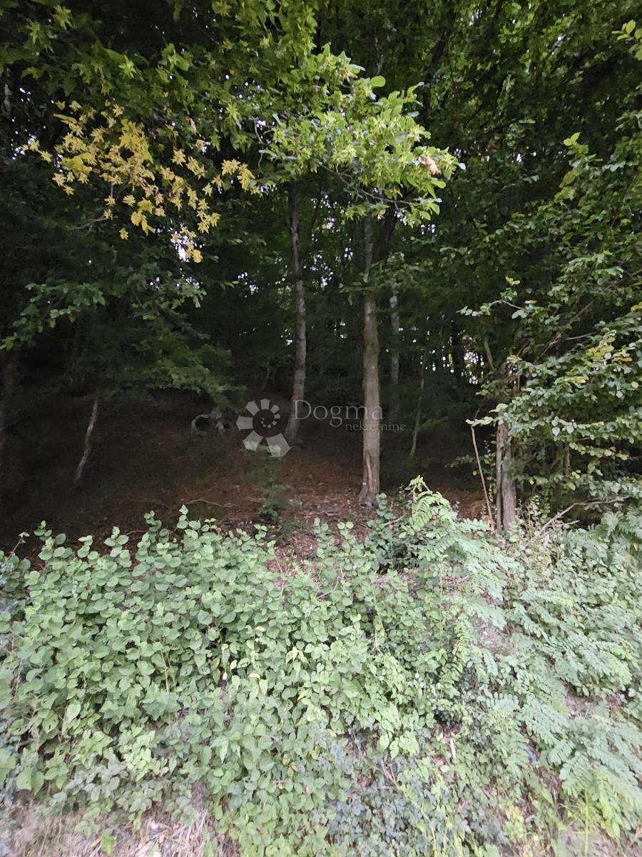 Kmetijsko zemljišče Ivanečka Željeznica, Ivanec, 3.160m2