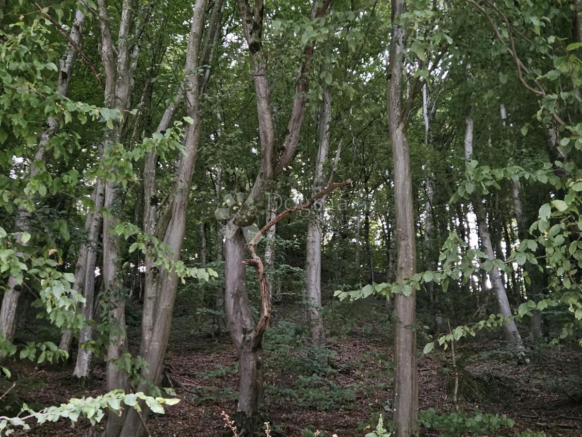 Kmetijsko zemljišče Ivanečka Željeznica, Ivanec, 3.160m2