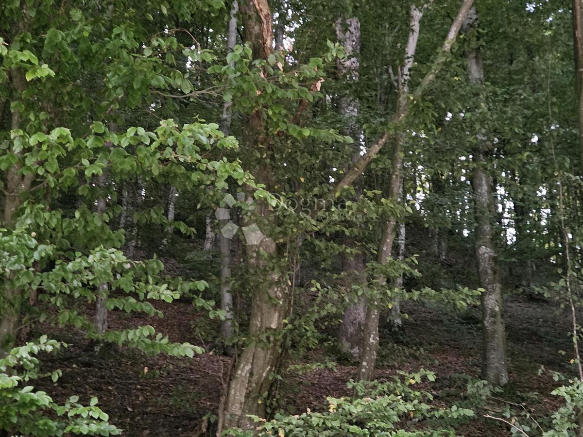 Kmetijsko zemljišče Ivanečka Željeznica, Ivanec, 3.160m2