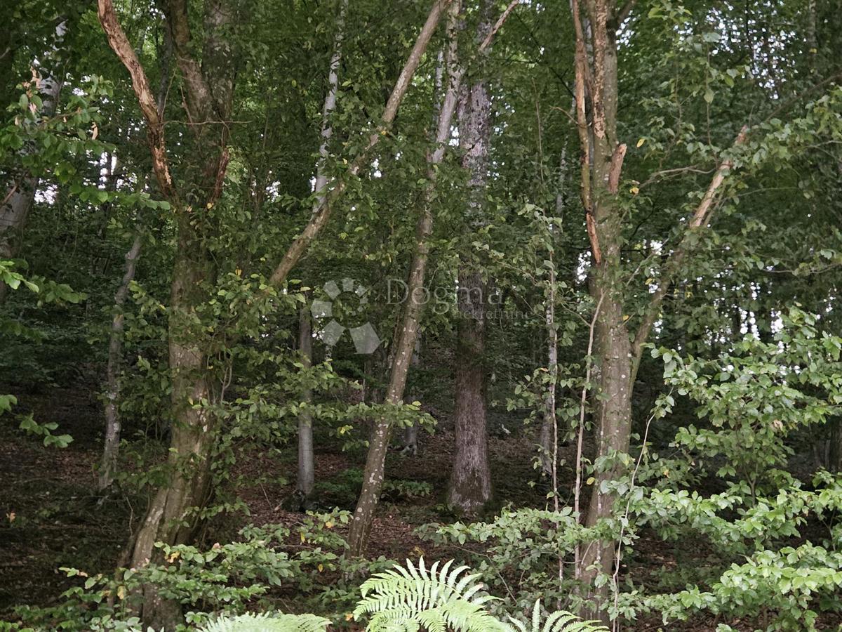 Kmetijsko zemljišče Ivanečka Željeznica, Ivanec, 3.160m2