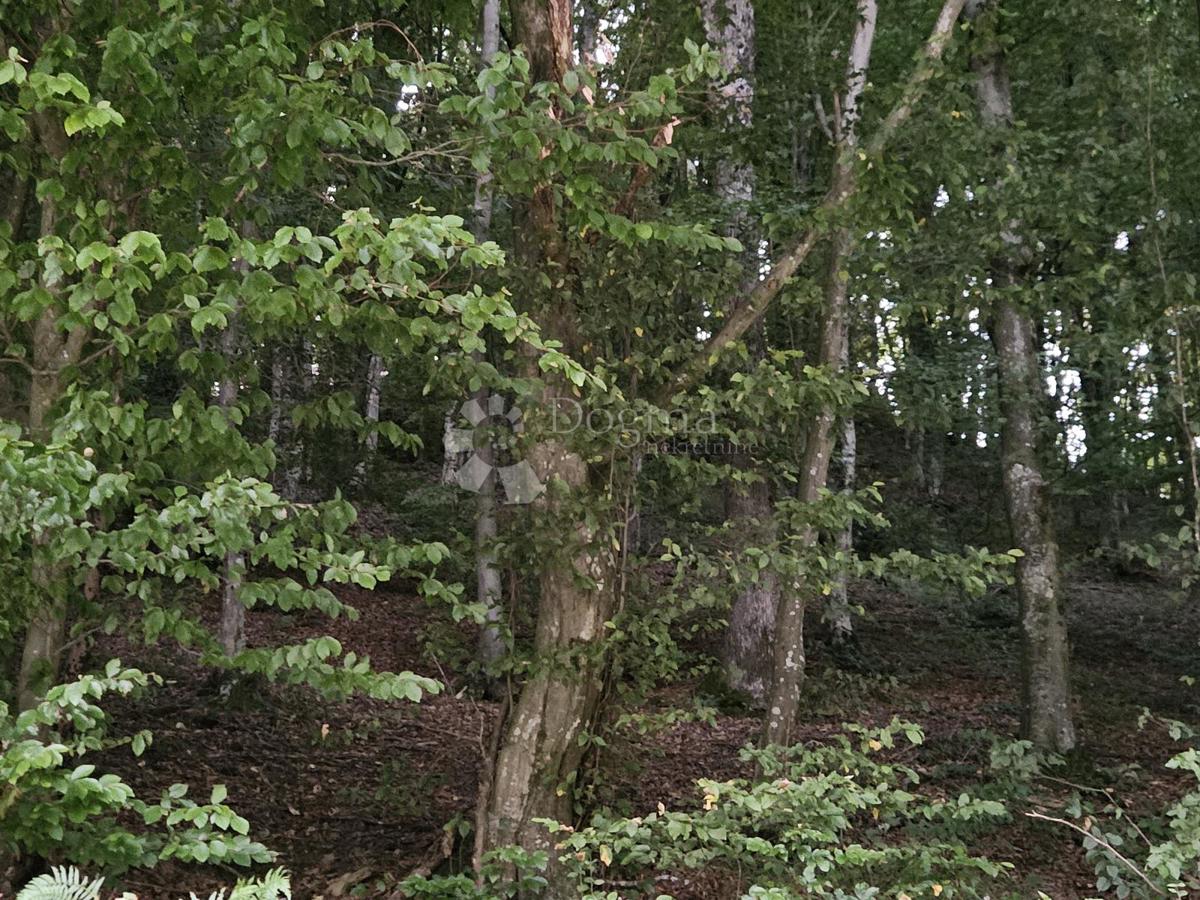 Kmetijsko zemljišče Ivanečka Željeznica, Ivanec, 3.160m2