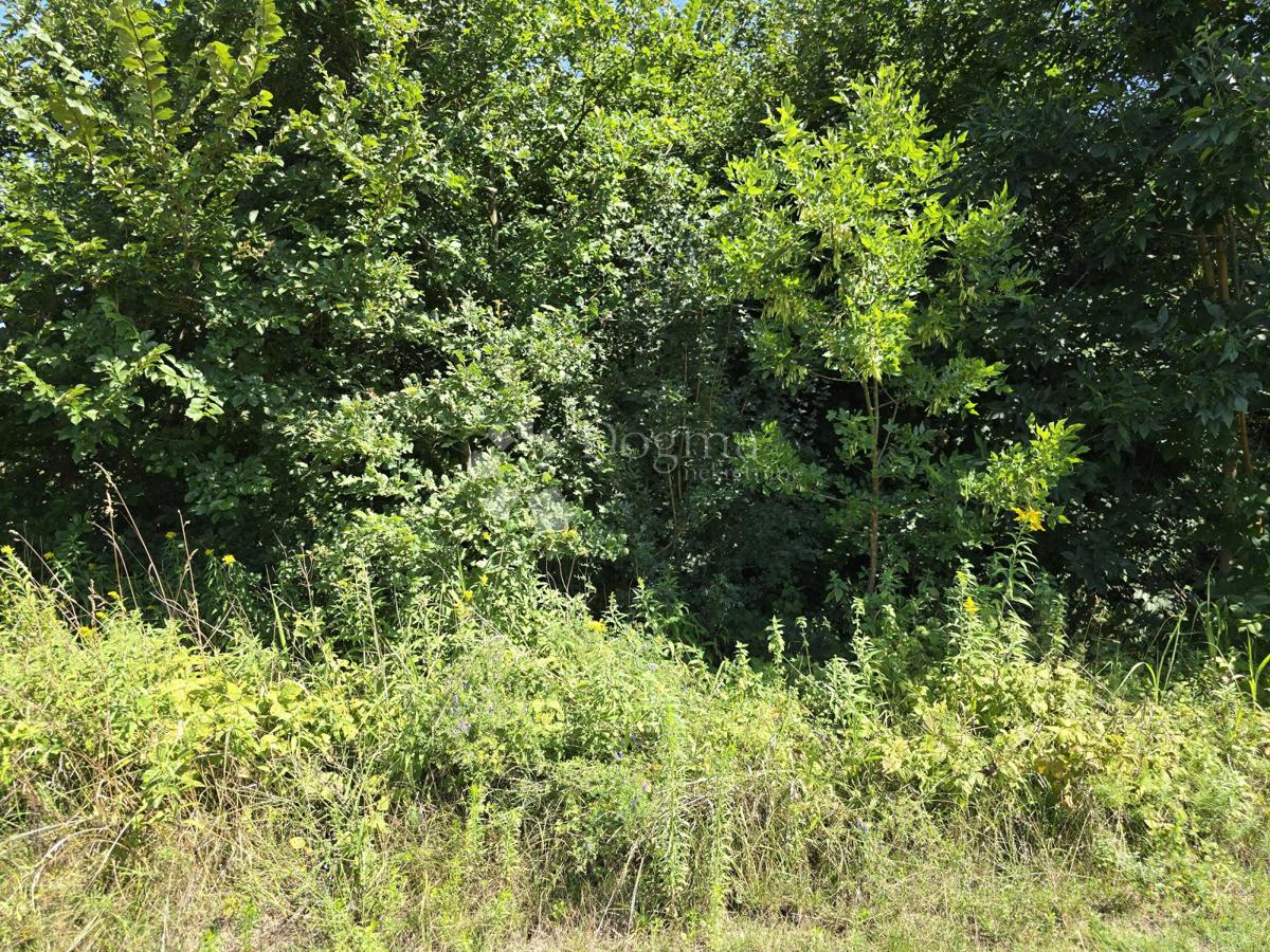Zazidljivo zemljišče Gornji Kućan, Varaždin - Okolica, 2.051m2