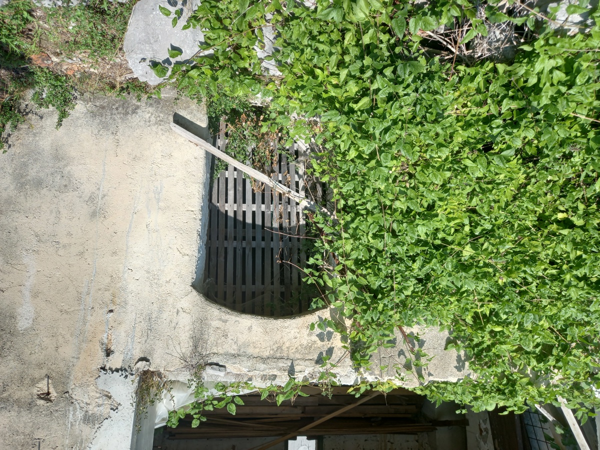 Marčelji, starožitnosť na úpravu