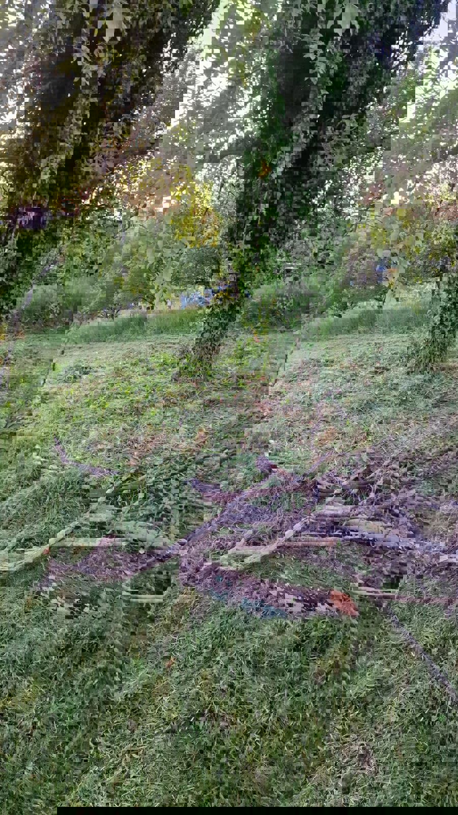 Zazidljivo zemljišče Kloštar Ivanić, 1.623m2