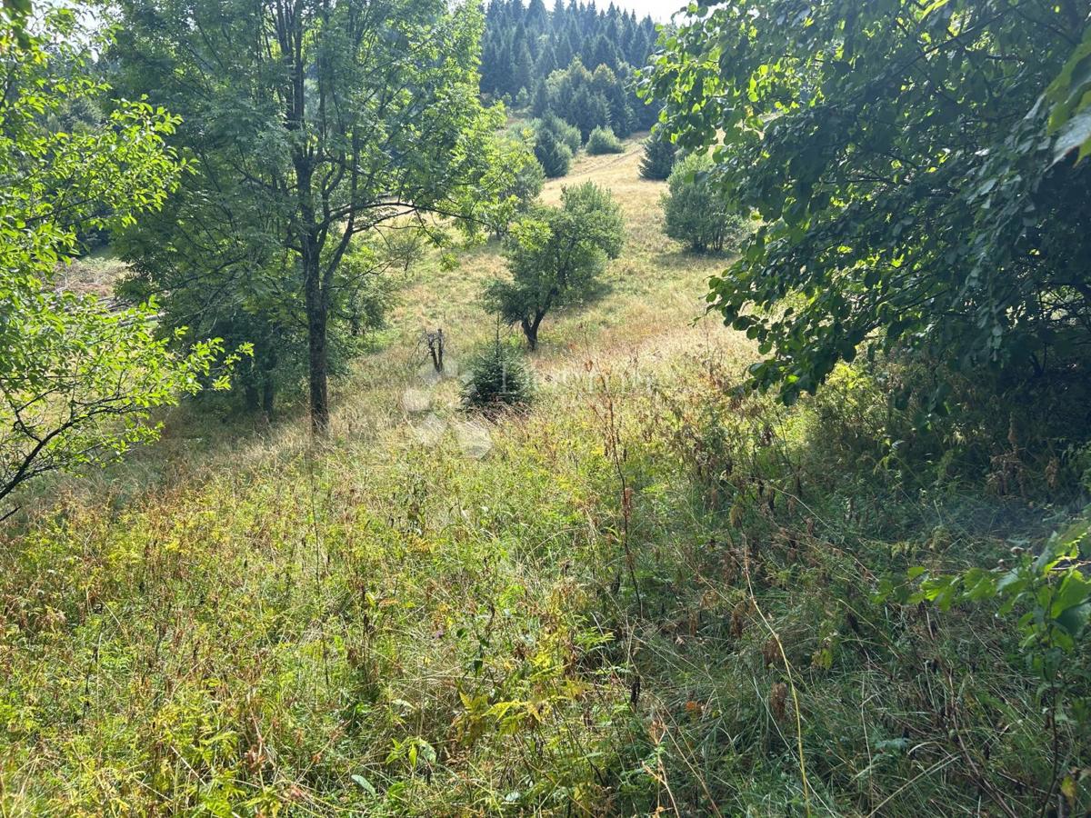 Zazidljivo zemljišče Brestova Draga, Mrkopalj, Stara Cesta bb, 4.100m2