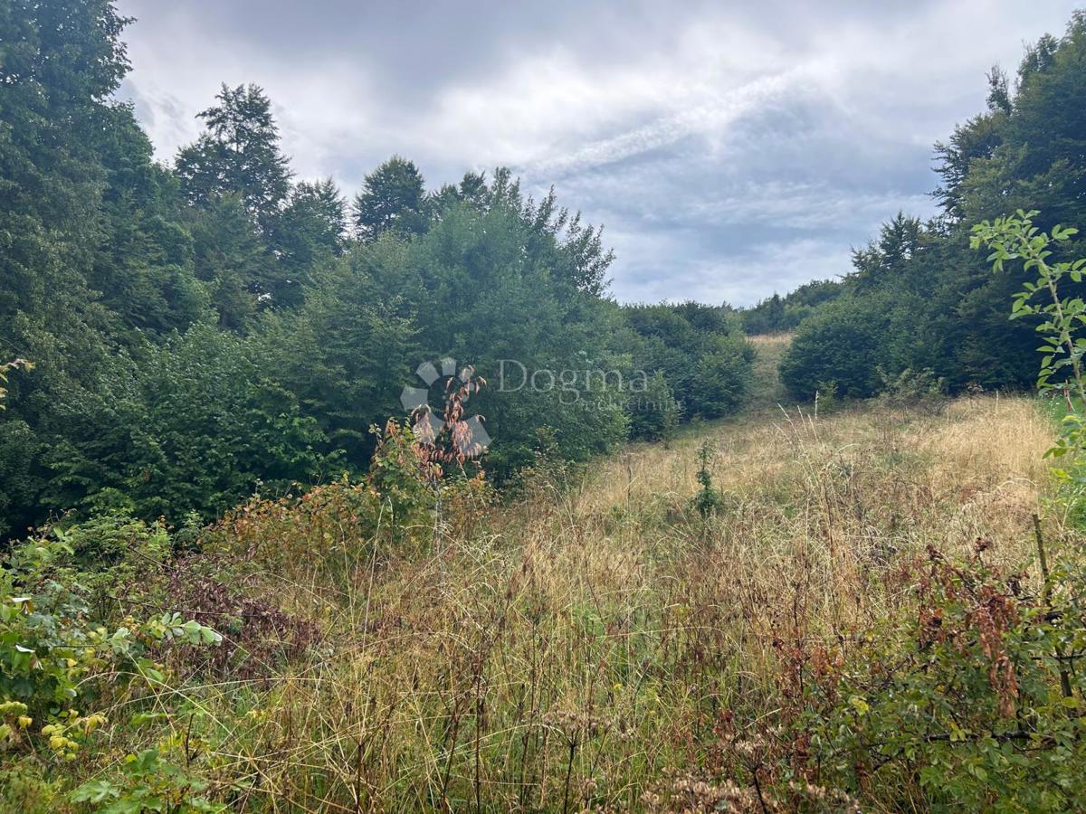 Zazidljivo zemljišče Brestova Draga, Mrkopalj, Stara Cesta bb, 4.100m2