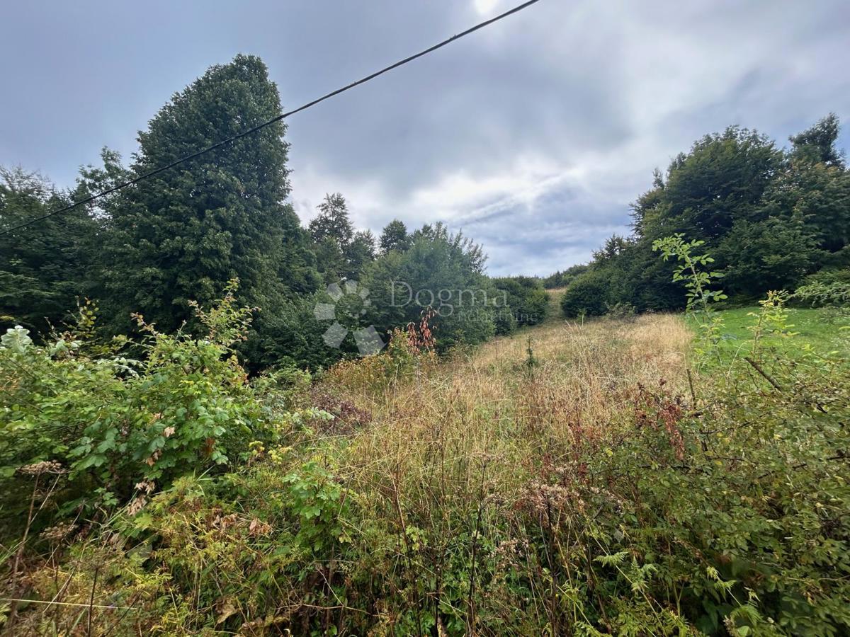 Zazidljivo zemljišče Brestova Draga, Mrkopalj, Stara Cesta bb, 4.100m2