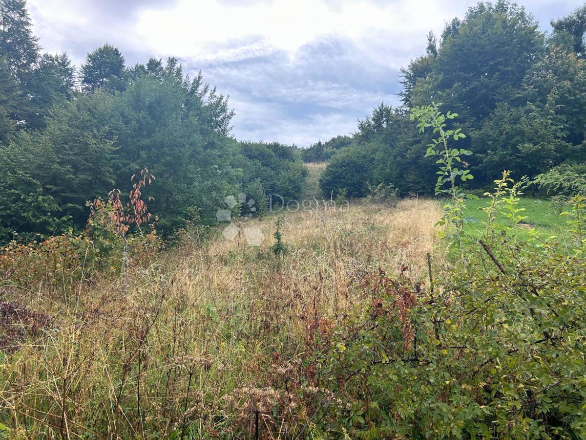 Zazidljivo zemljišče Brestova Draga, Mrkopalj, Stara Cesta bb, 4.100m2