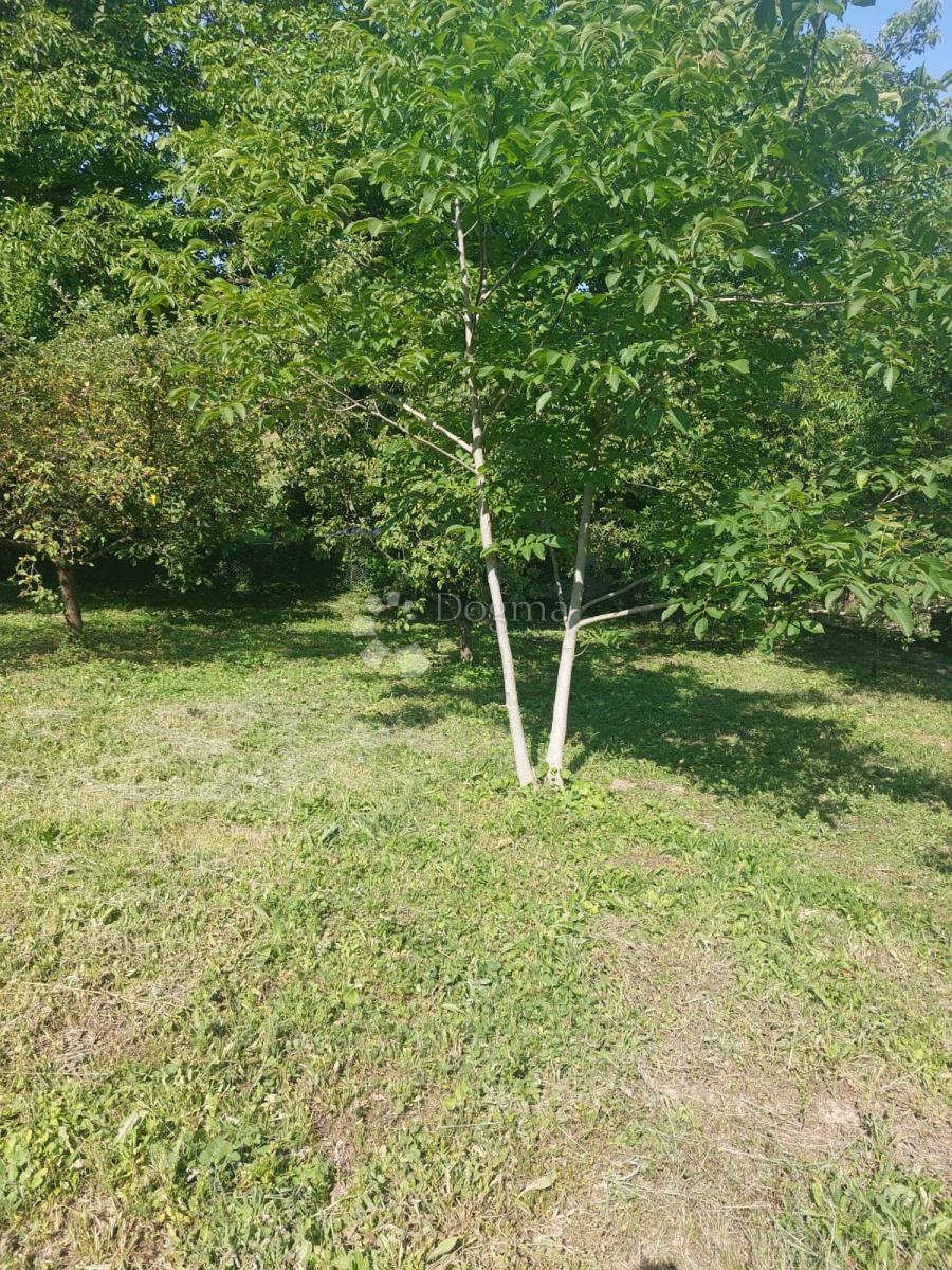 Hiša Dalj, Erdut, 1.306m2