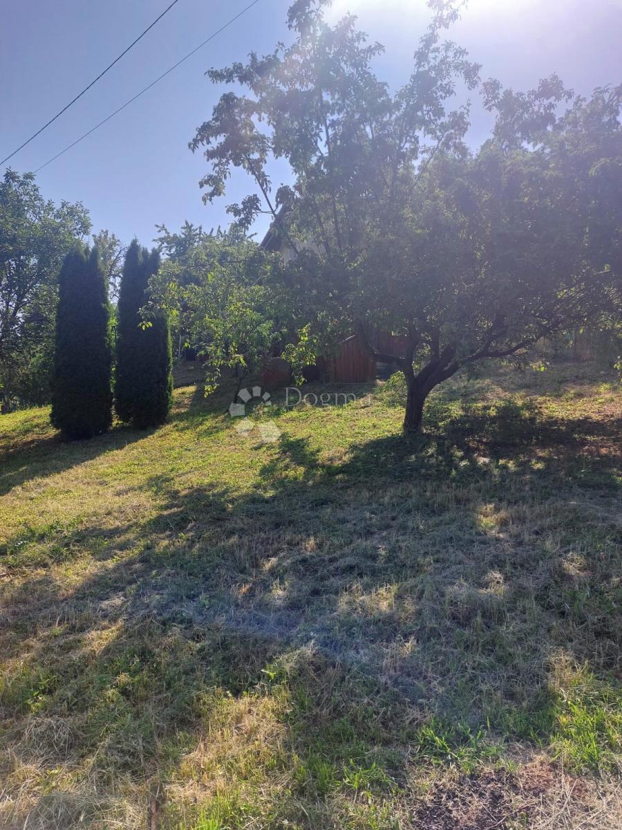 Hiša Dalj, Erdut, 1.306m2