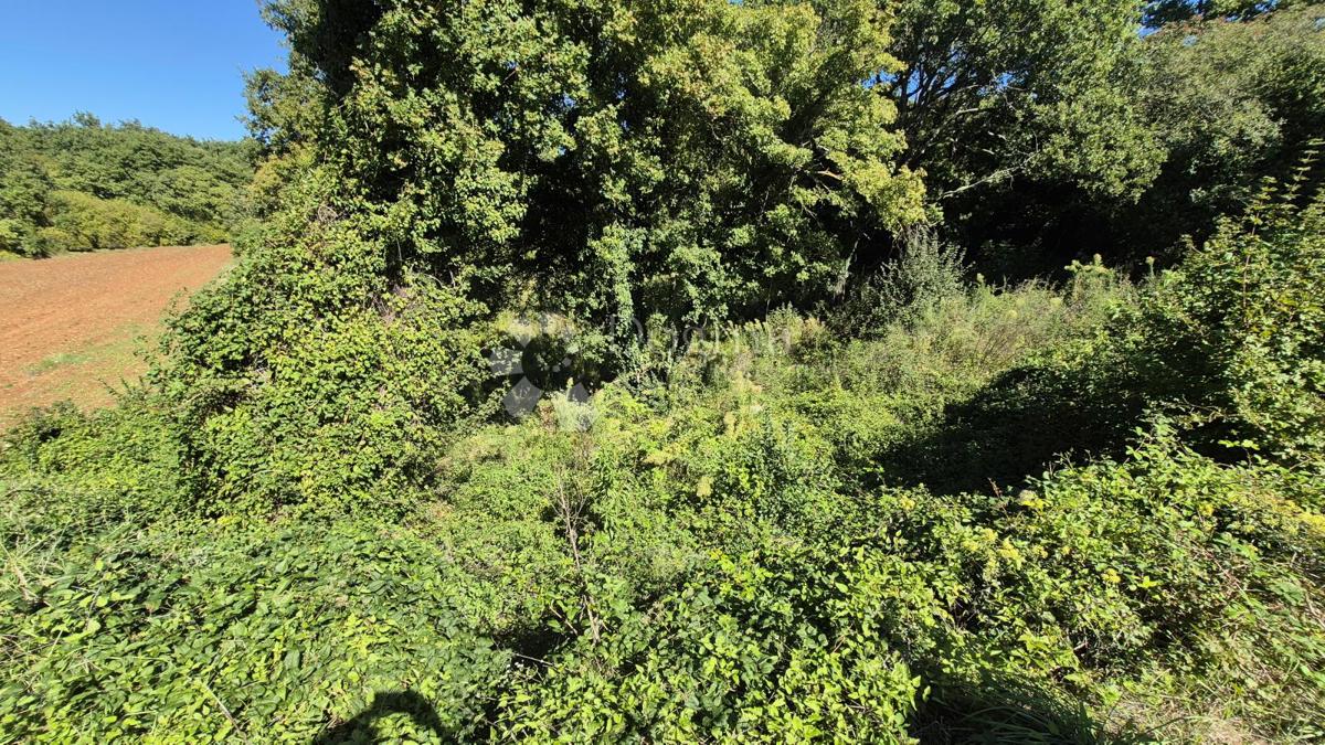 Kmetijsko zemljišče velikosti 1636 m2 naprodaj v Cukrićima