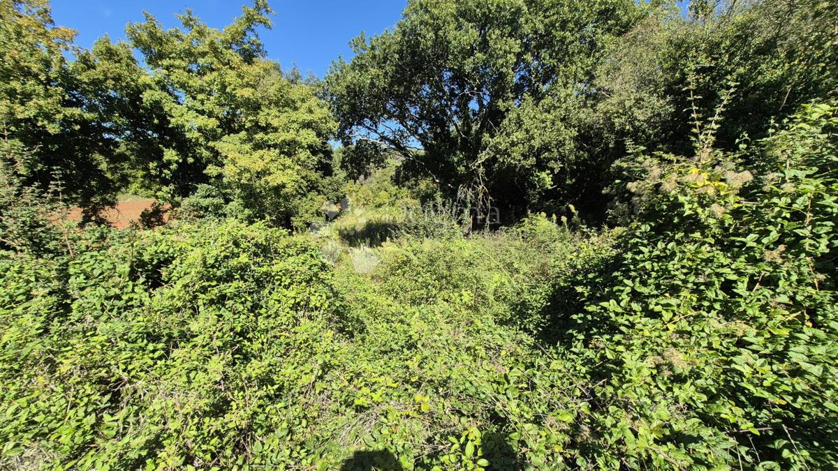 Kmetijsko zemljišče velikosti 1636 m2 naprodaj v Cukrićima