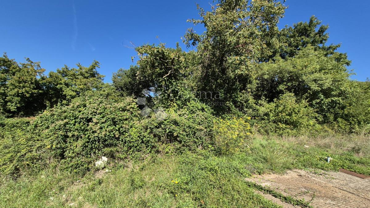 Kmetijsko zemljišče velikosti 1636 m2 naprodaj v Cukrićima