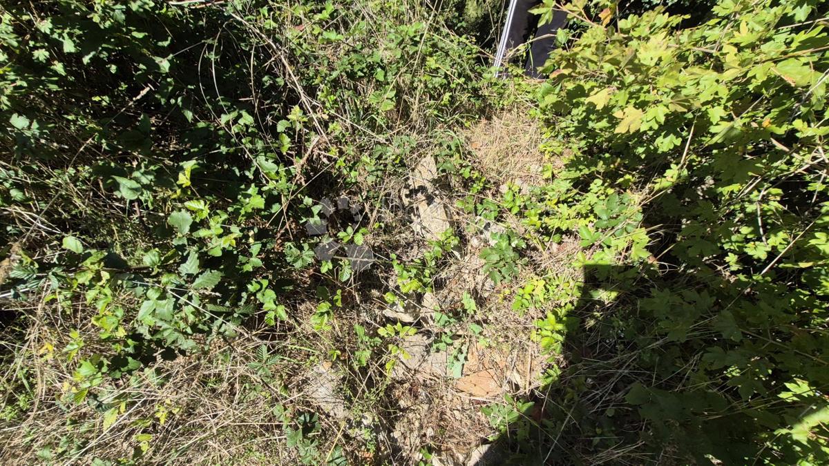 Kmetijsko zemljišče velikosti 1636 m2 naprodaj v Cukrićima