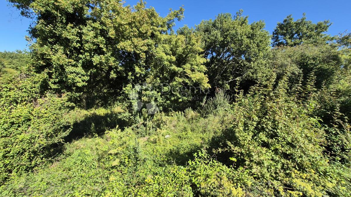 Kmetijsko zemljišče velikosti 1636 m2 naprodaj v Cukrićima