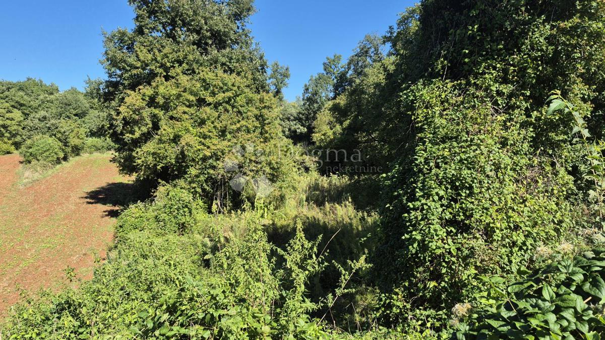 Kmetijsko zemljišče velikosti 1636 m2 naprodaj v Cukrićima