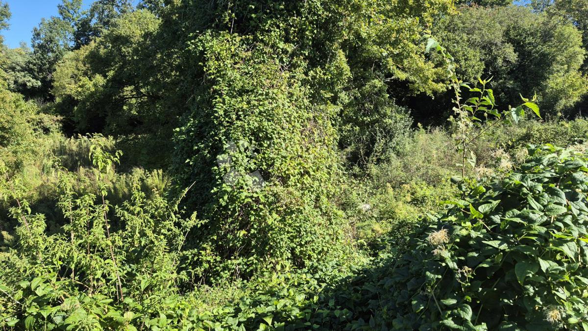 Kmetijsko zemljišče velikosti 1636 m2 naprodaj v Cukrićima