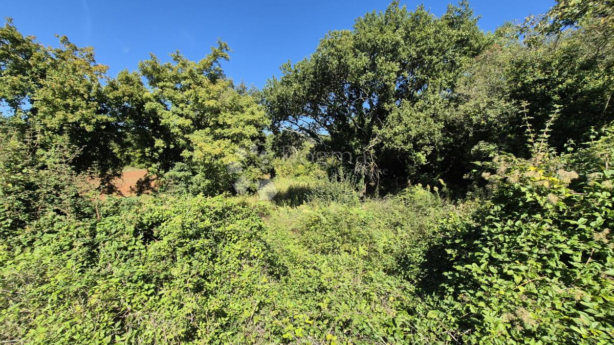 Kmetijsko zemljišče velikosti 1636 m2 naprodaj v Cukrićima