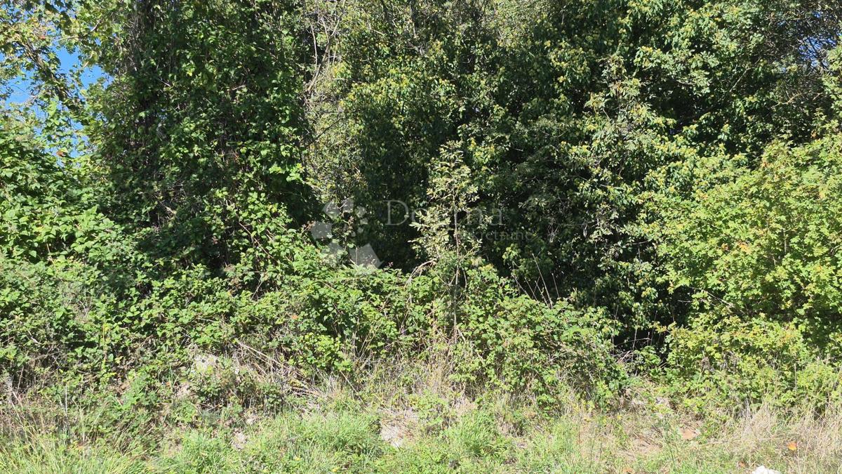 Kmetijsko zemljišče velikosti 1636 m2 naprodaj v Cukrićima