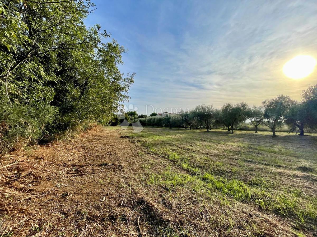 Fantastično zemljišče v Premanturi