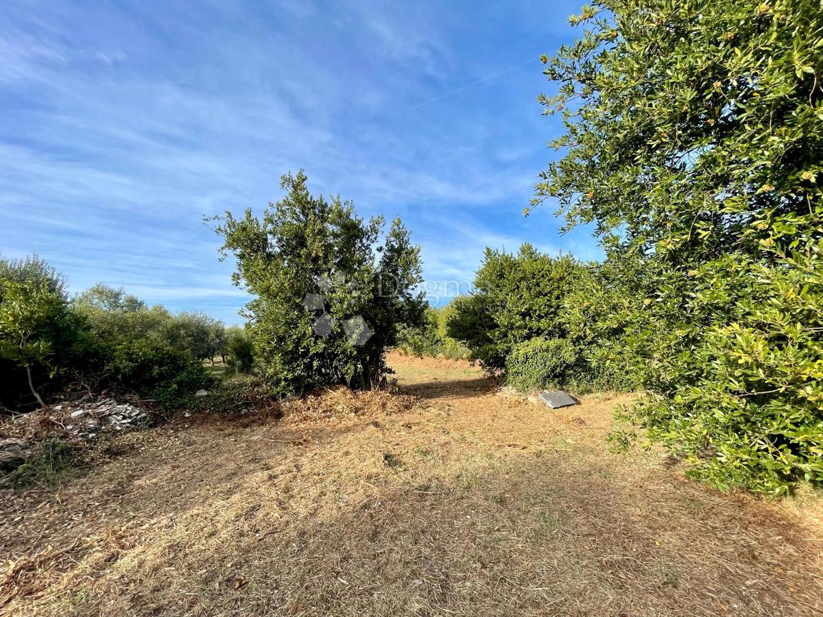 Fantastično zemljišče v Premanturi