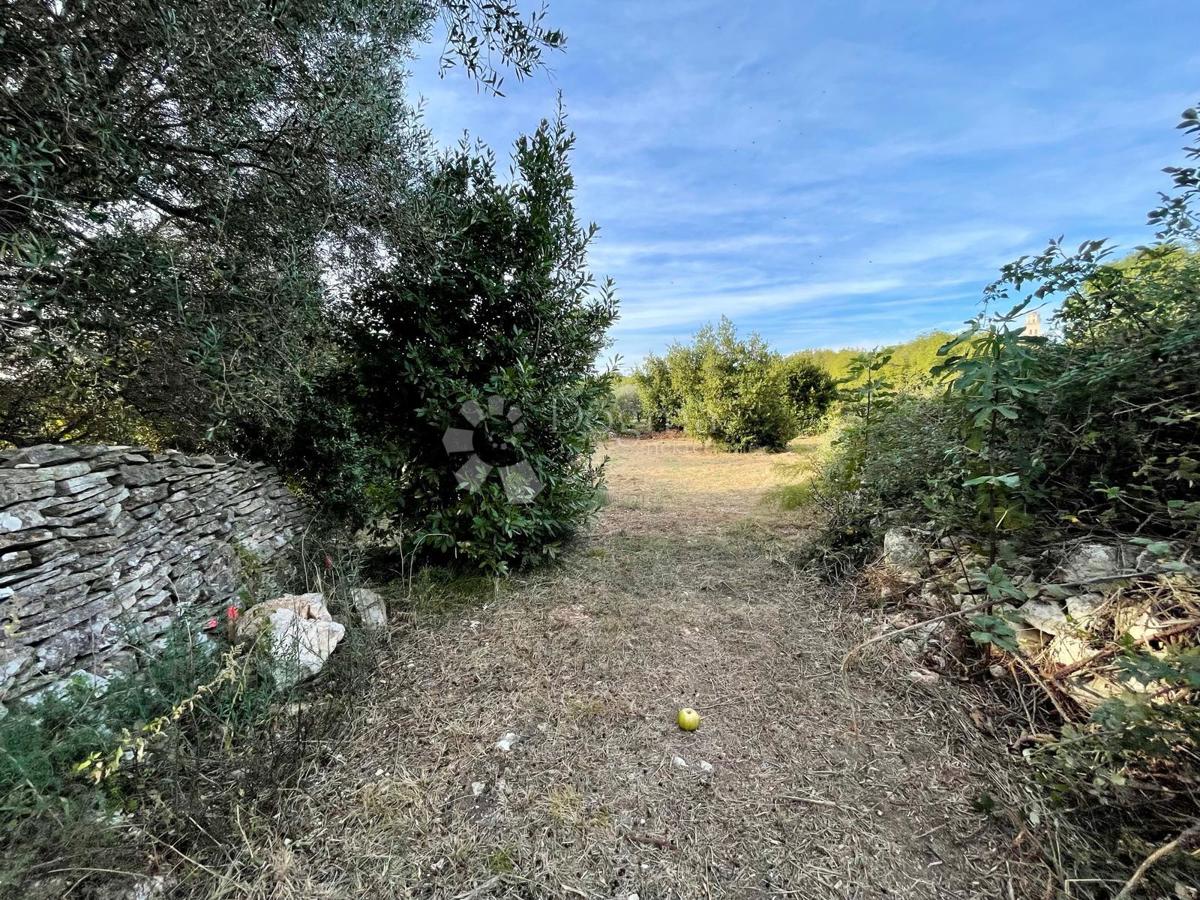 Fantastično zemljišče v Premanturi