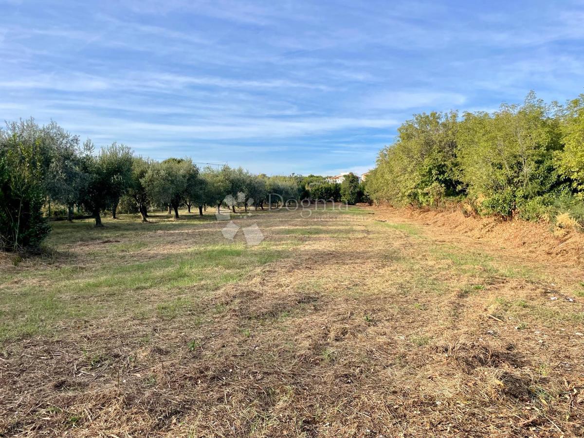 Fantastično zemljišče v Premanturi