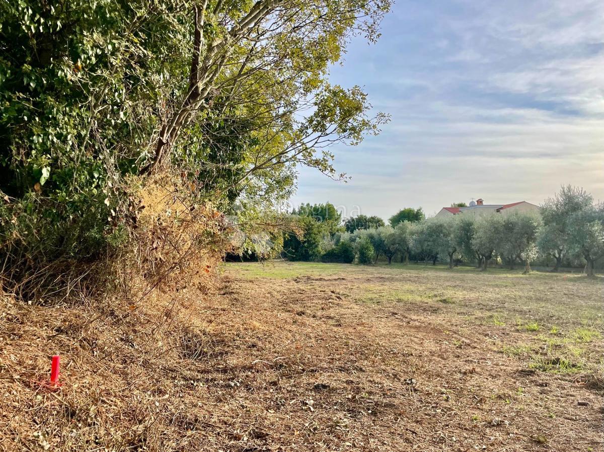 Fantastično zemljišče v Premanturi