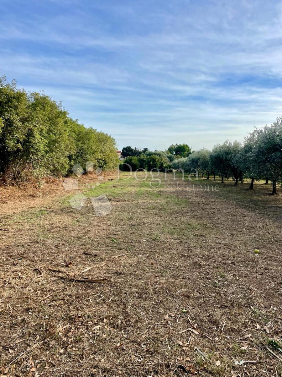 Fantastično zemljišče v Premanturi