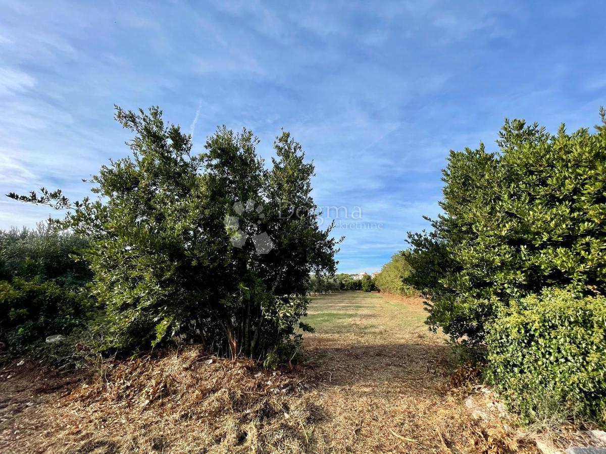 Fantastično zemljišče v Premanturi