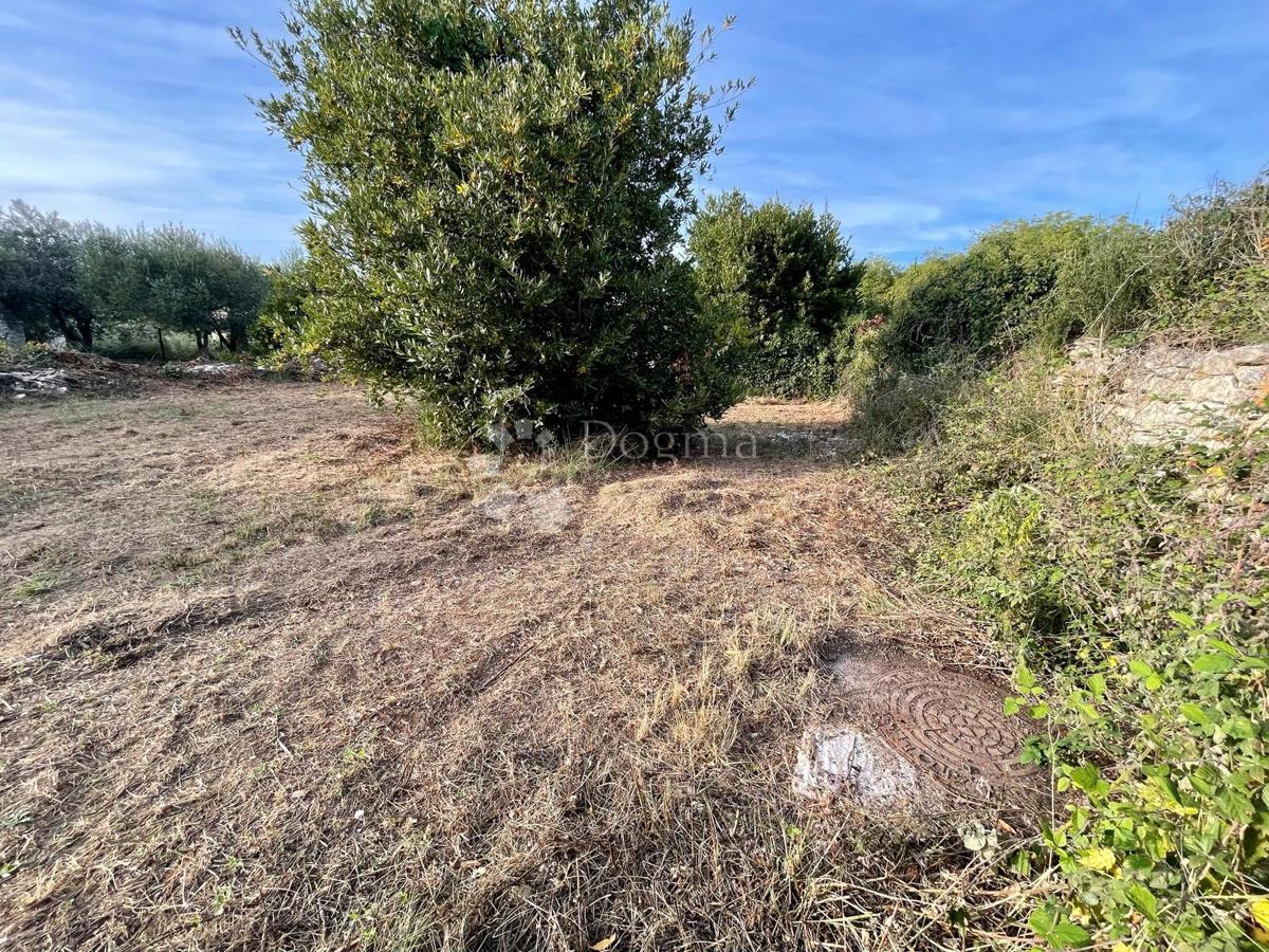 Fantastično zemljišče v Premanturi