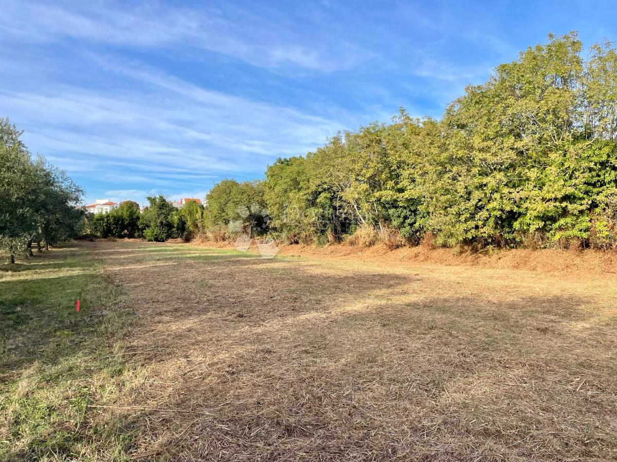 Fantastično zemljišče v Premanturi