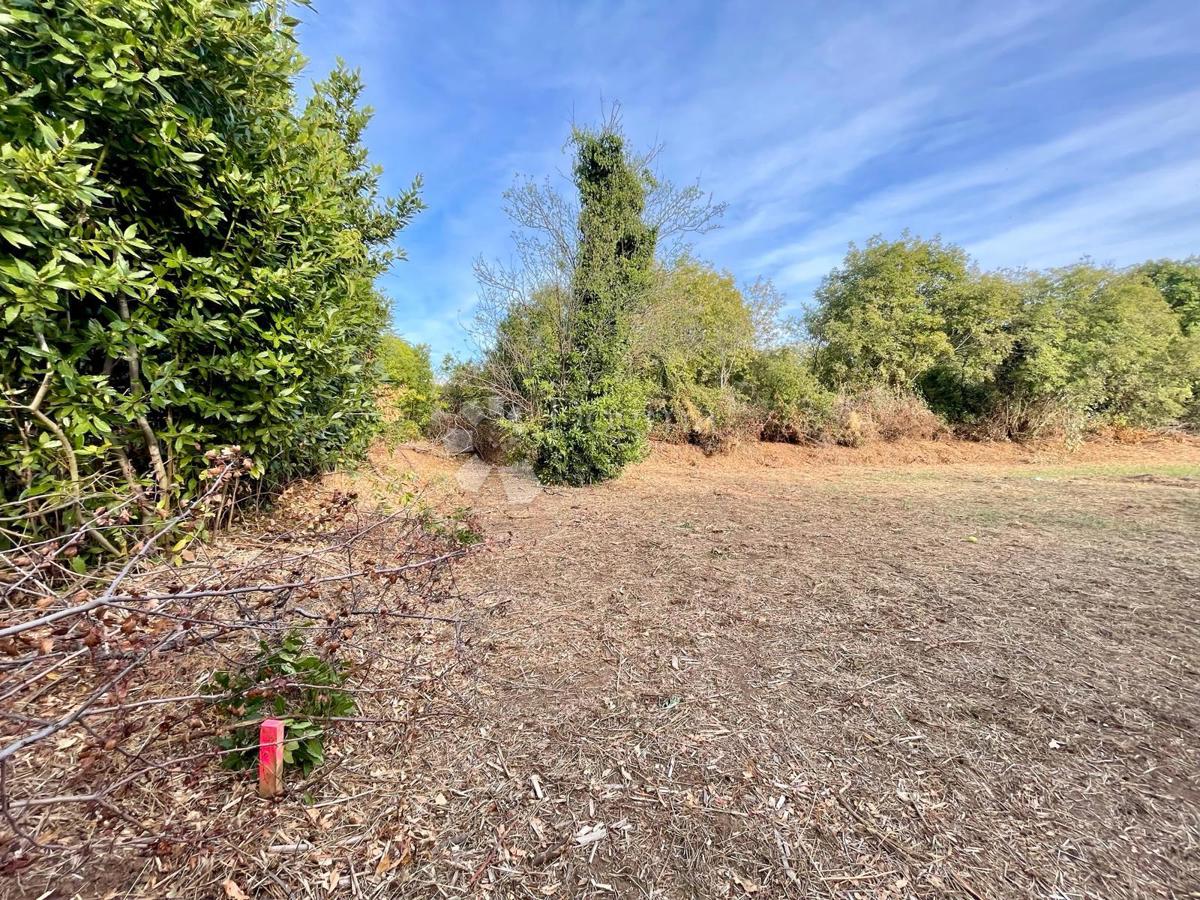 Fantastično zemljišče v Premanturi