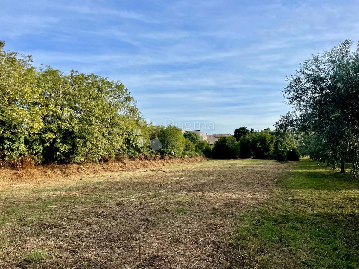 Fantastično zemljišče v Premanturi