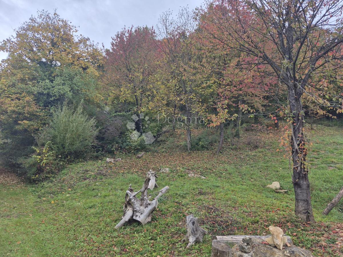 Kmetijsko zemljišče Jazbina, Desinić, 133.795m2