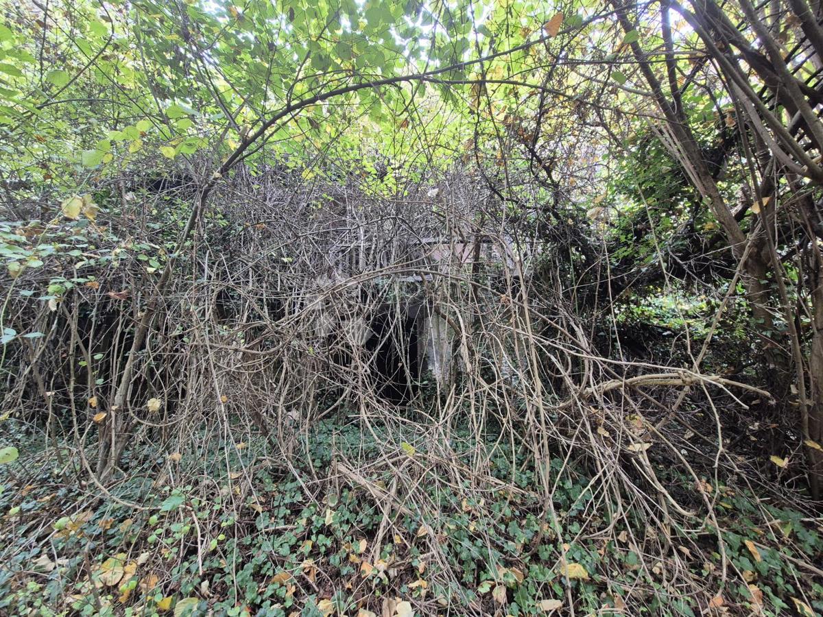 Kmetijsko zemljišče Jazbina, Desinić, 133.795m2